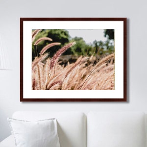 Photographie de terrain Farmhouse wall art Botanical print Farm poster Spring postcard Grasses print Nature wall art Country photography Farm art