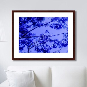 Purple blooming tree print Spring digital photography Flowering tree art Nature photography Spring printable art Blooming tree wall decor