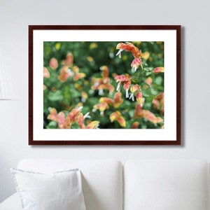 Dicentra Fotografie Frühling Wand Dekor Blumen Postkarte Muttertagsgeschenk einzigartige Haus Kunst Natur fotografie botanische Kunst