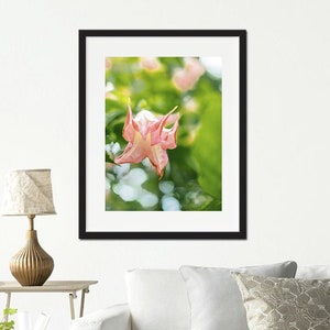 Rosa Blumen Fotografie Frühling Postkarte botanische Wand Dekor Mütter Tag Geschenk hochwertige Jpg-Dateien Geschenk für Sie