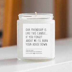 Vela de amistad, Regalo de mejor amigo, Regalo de amistad, Regalo de amigo, Nuestra amistad es como esta vela, Regalo de amigo divertido, Vela para amigo