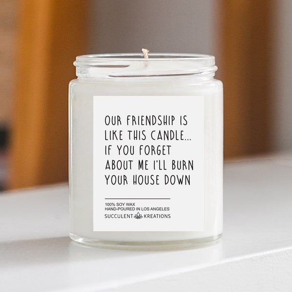 Friendship candle, Best Friend Gift, Friendship Gift, Friend Gift, Our Friendship is Like This Candle, Funny Friend Gift, Candle for Friend