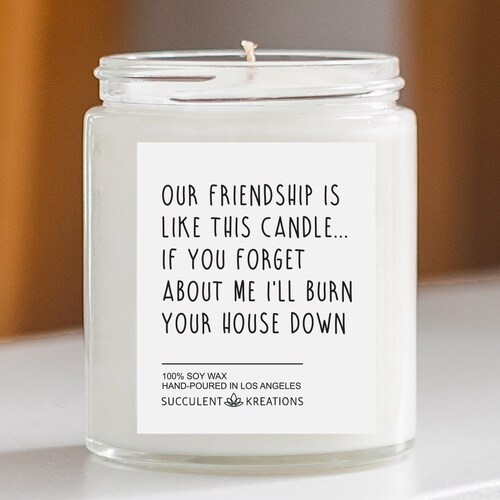 Our Friendship is Like This Candle Funny Candle for Friend Etsy
