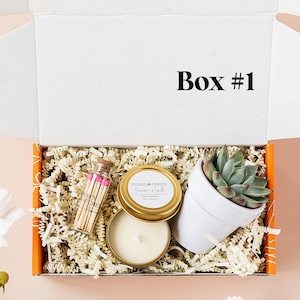 Succulent Gift Box - Thank You Gift - Appreciation Gift - Send a Gift - Succulent Gifts - Succulent Package - Sending Thanks