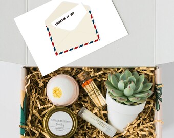 Quarantine Succs| Thinking of You Gift| Succulent Gift Box| Succulent Gift| Care Package| Gift for her| Gift Box| Gift for Friend