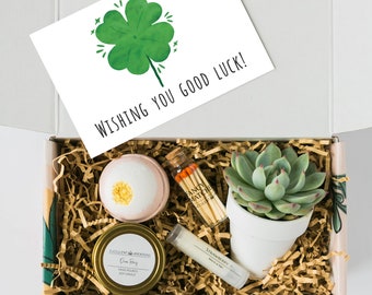 GOOD LUCK GIFT - Wishing You Good Luck - Encouragement Care Package - New Job Gift Ideas - Live Succulent Gift Box -  Free Shipping