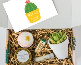 JOB PROMOTION GIFT - Way to Grow - New Job Gift Ideas - Encouragement Care Package - Live Succulent Present - Free Shipping  -