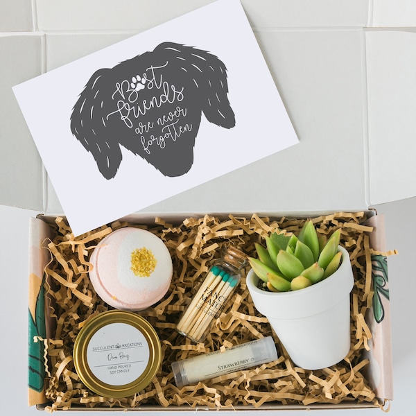 DOG SYMPATHY GIFT - Pet Memorial - Sympathy Care Package - Sorry for your loss - Pet Loss Gifts - Puppy Grief Succulent Gift Box