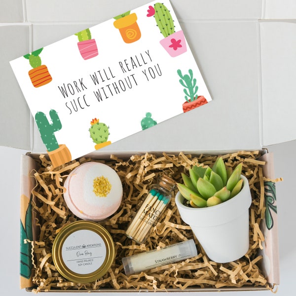 Colleague gift - Promotion gift - Coworker leaving gift -  Coworker gift - Promotion Gift - Gift box - Succulent gift
