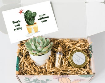 Coworker Gift Etsy
