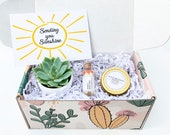 Sending You Sunshine Succulent Gift Box - Live Succulent Gift - Friendship Gift - Thinking of You Gift - Send a Gift - Care Package Set