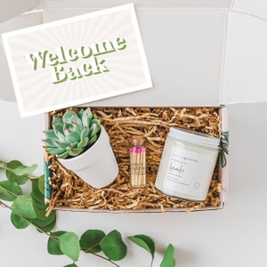 Welcome Back Gift Box- Welcome Back To Work- Coworker Gift Idea- Back to Work Gift- We Missed You- Succulent Gift Box