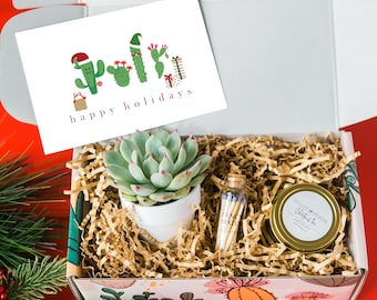 Christmas gift - From Social Distance - Holiday Present - Christmas custom gift - Holiday Gift Box - Christmas Box - Succulent gift box