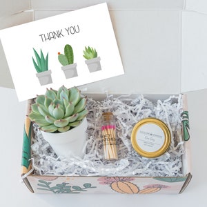 Thank You Gift | Thank You | Teacher Thank You | Appreciation Gift | Client Thank You | Personalized Gift | Succulent Gift | Soy Candle Gift