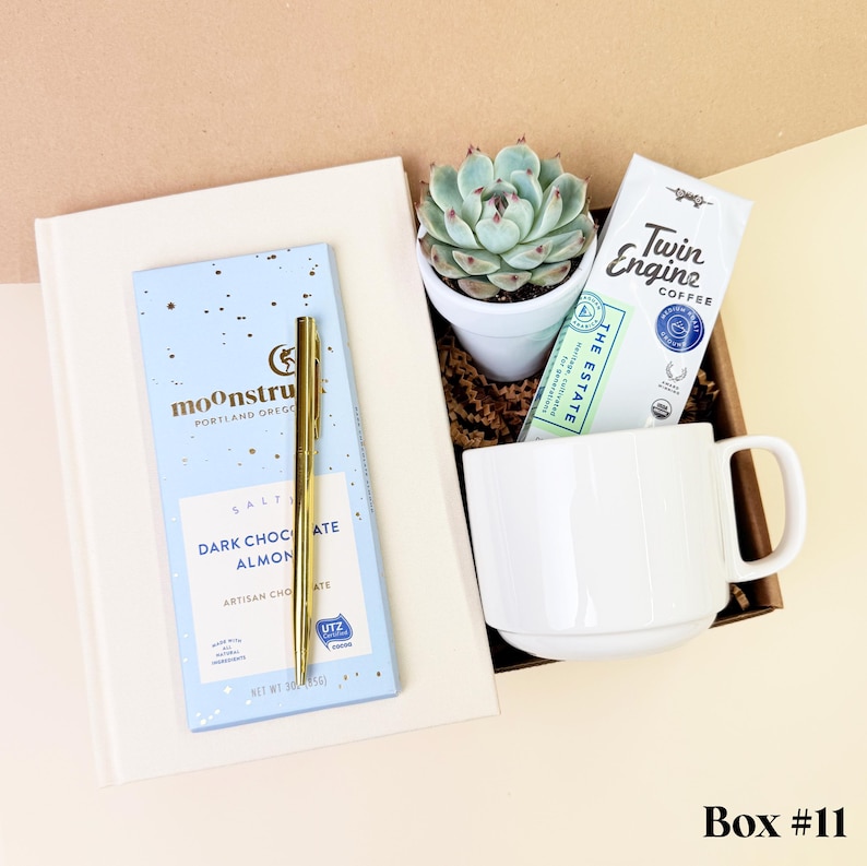 Succulent Gift Box - Thank You Gift - Appreciation Gift - Send a Gift - Succulent Gifts - Succulent Package - Sending Thanks BOX #11