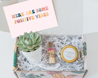 Good Good Vibes gift - Succulent gift box - cactus gift - Send A Gift - positive vibes for Friend - Just Because Gift - get well soon