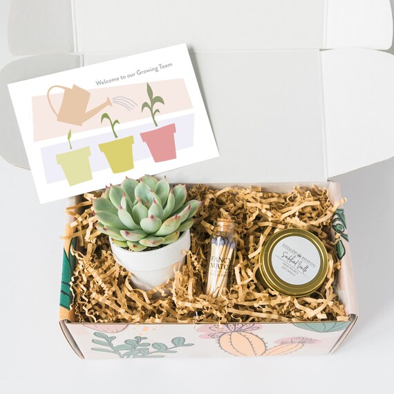 Eco-Friendly Corporate Gift Ideas - Action Promote