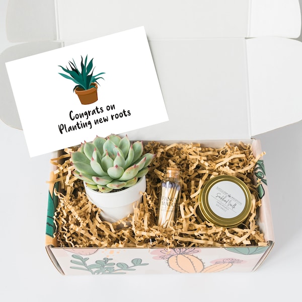 Relocation Gift Box - Moving Gift - New Job Congratulations Gift - Promotion Care Package - New Home - New Apartment - Succulent Gift Box