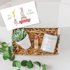 New home gift - gift box, basket -  Housewarming Gift Ideas - New Apartment - New Condo gift - First Home - Live Succulent - send a gift