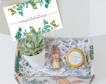 Congratulations - Congrats Gift - Send a Gift - Congratulations Gift box- Succulent Gift Box - Live Succulent gift