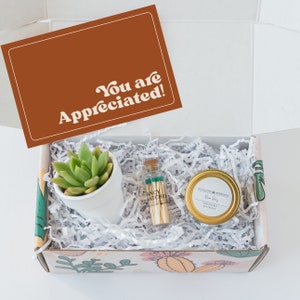 CORPORATE APPRECIATION GIFT- Company Gift - Coworker Present - Appreciation Gift for Employees - You are Appreciated - Live Succulent