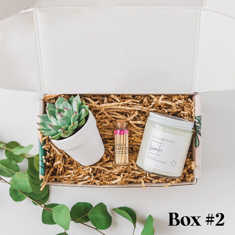 a box containing a candle, candle holder, and a potted plant