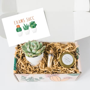 Final Exams Gift Box - Exam Care Package - Gift For Student - College Gift Ideas - Good Luck On Exams - Exam Season - Finals - Midterms
