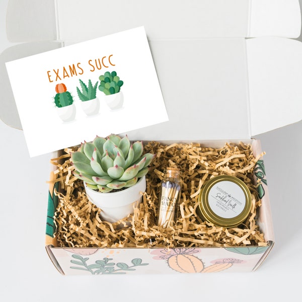 Final Exams Gift Box - Exam Care Package - Gift For Student - College Gift Ideas - Good Luck On Exams - Exam Season - Finals - Midterms