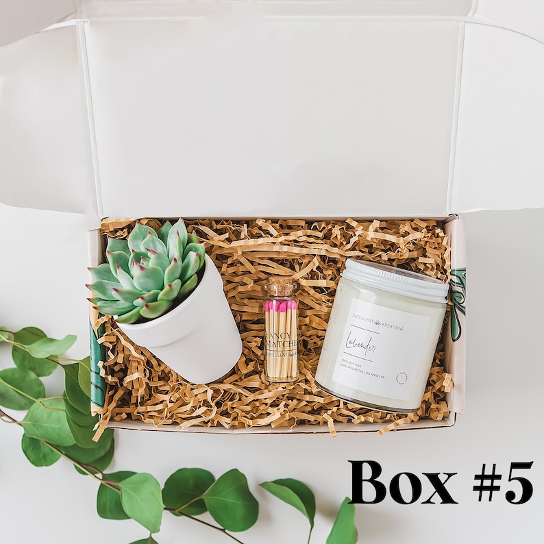 May include: A white box filled with brown packing paper. The box contains a small potted succulent, a glass jar with a white lid and the text "lavender" on the label, and a small glass bottle with the text "fancy matches" on the label. The box is labeled "Box #5".