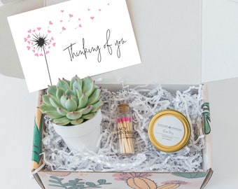CARE PACKAGE. Thinking of you. Healing Vibes. Gift Box. Succulent Gift Box. Live Succulent. Succulent and Candle. Succulent Care Package.