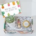 Coworker Gift - Coworker Gifts - Funny Coworker Gift - Send A Gift- Coworker Gift Ideas - Gift basket - Promotion Gift - Work will succ 
