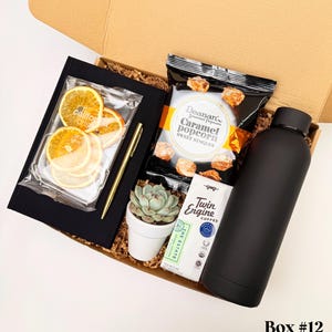 Succulent Gift Box - Thank You Gift - Appreciation Gift - Send a Gift - Succulent Gifts - Succulent Package - Sending Thanks BOX #12