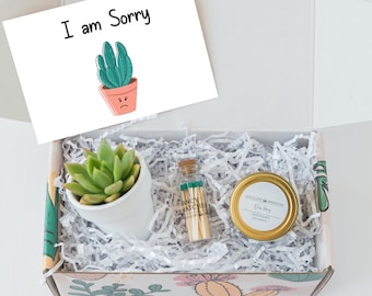 I'm sorry Succulent gift - sorry Gift - Apology Gift - I am sorry Gift - Sorry Gift Ideas - Succulent gift box - Apology Gift Ideas