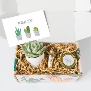 Succulent Gift Box - Thank You Gift - Appreciation Gift - Send a Gift - Succulent Gifts - Succulent Package - Sending Thanks