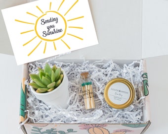 Sending Sunshine from Quarantine - Quarantine Gift - Send a Gift - Succulent Gift Box - Friend Gift - Quarantine Gift Ideas Thinking of you