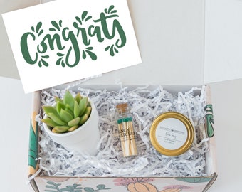 Congratulations Gift Ideas- Congrats gift - New home congratulations - congratulations baby - Succulent Gift Box