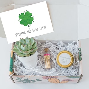 Good luck gifts - good luck gifts for coworker - Send a Gift - Care Package  - Succulent gift box - colleague gift - workmate gift basket