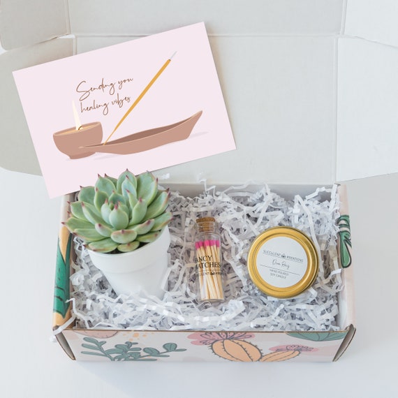 Healing Vibes Succulent Gift Box, Care Package for Her Get Well