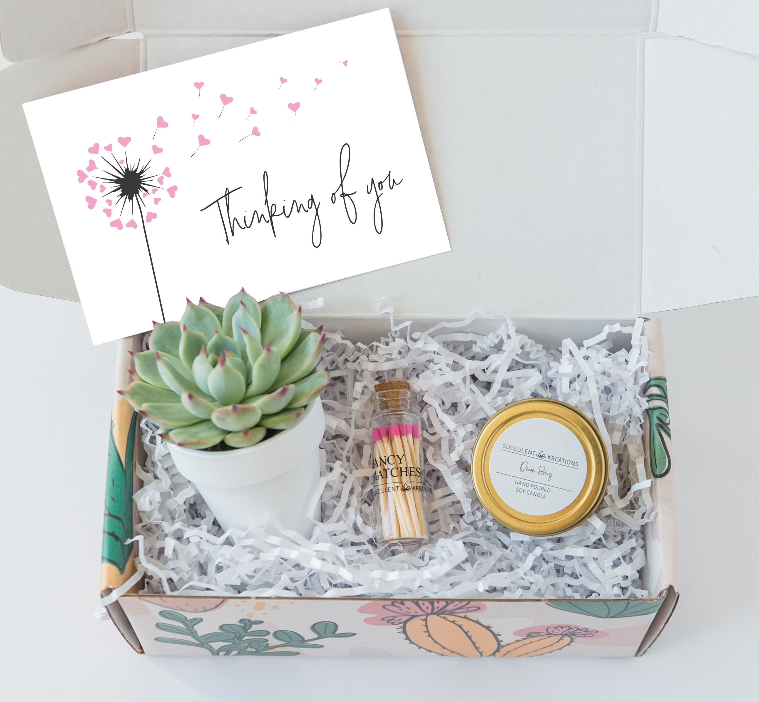 Care Package Thinking Of You Gift Ideas Succulent Gift Box - Etsy