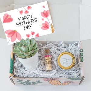 Mothers Day Gift Box - First time mothers day gift - mothers day- send a gift - mom gift - gift for mommy - succulent gift box - mom gift