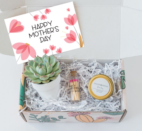 First Mothers Day Gifts For Daughter, New Mom Gift Box, New Mom Gift  Basket, Best Friend Gift, Live Succulents, Mothers Day Gift For Her