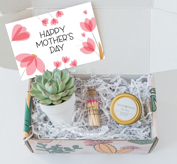 First Mothers Day Gifts For Daughter, New Mom Gift Box, New Mom Gift  Basket, Best Friend Gift, Live Succulents, Mothers Day Gift For Her