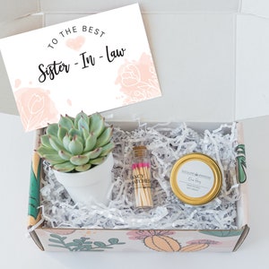 Mother's day gift for Sister-In-Law - Gift ideas for Sister-In-Law - care package - Live succulent gift box - Sister-In-Law gift box