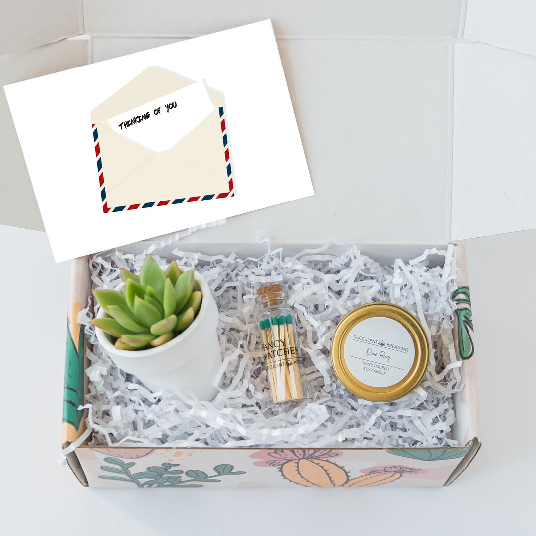 Quarantine Gift Box Send Quarantine Gift Gift for Her Succulent Gift