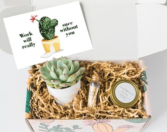 Farewell Gift for Coworker - New Job Gift - Congratulations Gift - Job Promotion Gift - Co-worker Gift box - Promotion Gift Coworker Leaving