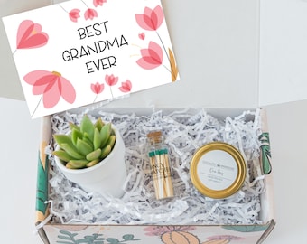 Mothers day gift for GRANDMA - Grandma Gift Box - Succulent Gift - Grandma Gift - Mother Day Gift - Happy Mothers Day Grandma