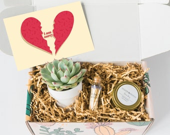 I succ I'm sorry Succulent - Apology Gift Box - Sunshine gift - Regrets gift - I'm sorry Gift - Apology - Apology Gift Ideas