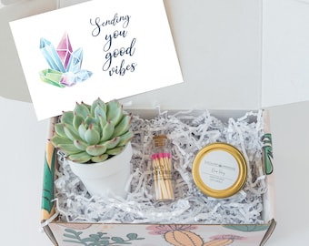 Sending You Good Vibes - Succulent gift box - FREE SHIPPING -cactus gift - Send A Gift - birthday present- friend gift - get well soon