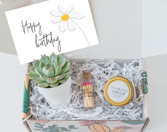 Happy Birthday Succulent Gift Box - friend gift box - Succulent for gift - Candle gift - Send a gift - birthday gift for mom- Succulent gift