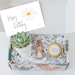 Happy Birthday Succulent Gift Box - friend gift box - Succulent for gift - Candle gift - Send a gift - birthday gift for mom- Succulent gift 
